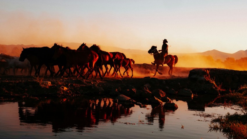 a group of people riding horses across a river