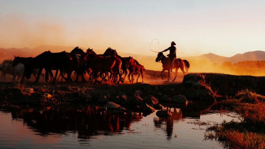 a group of people riding horses across a river