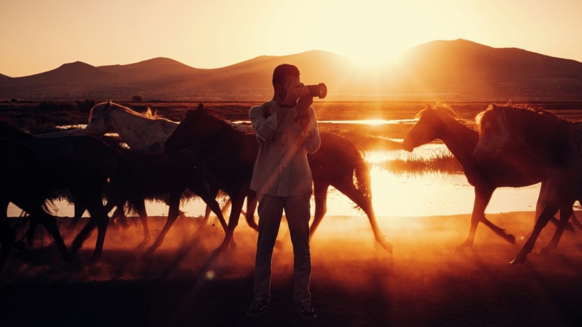 a man standing next to a herd of horses