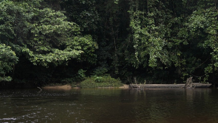 a body of water with trees in the background f