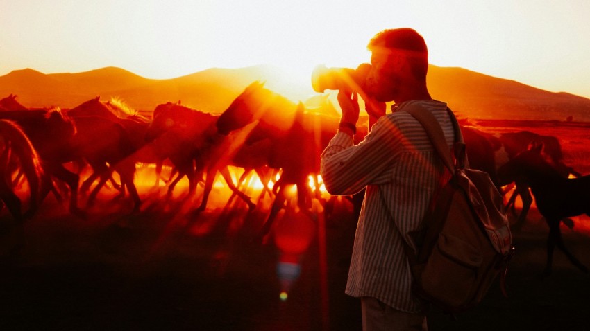 a man taking a picture of a herd of horses