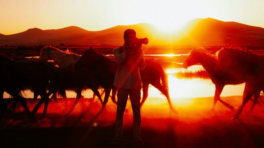 a woman standing next to a herd of horses gdS8sU0