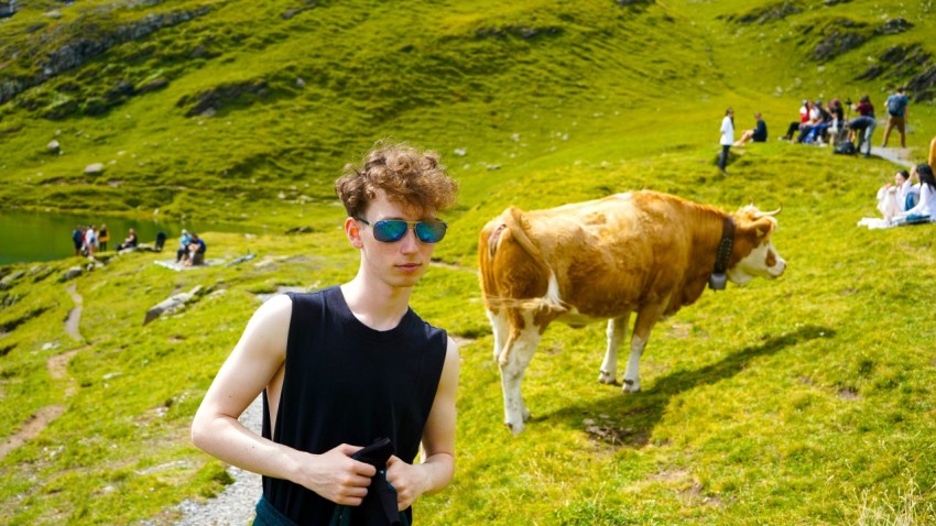 a man standing in front of a cow on a hill