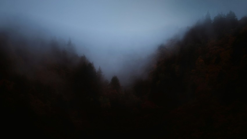 green trees under white sky during daytime DGDLKVlj