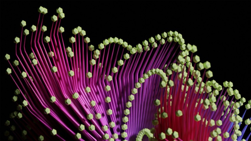 a close up of a purple and white flower