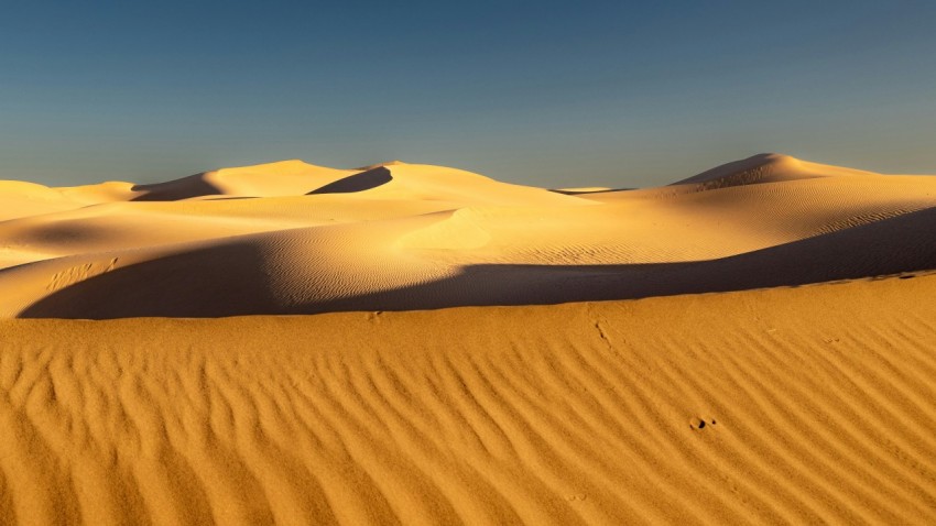 a large group of sand dunes in the desert