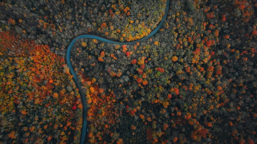 an aerial view of a river running through a forest NXdhzDy