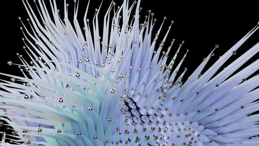 a close up of a blue flower on a black background