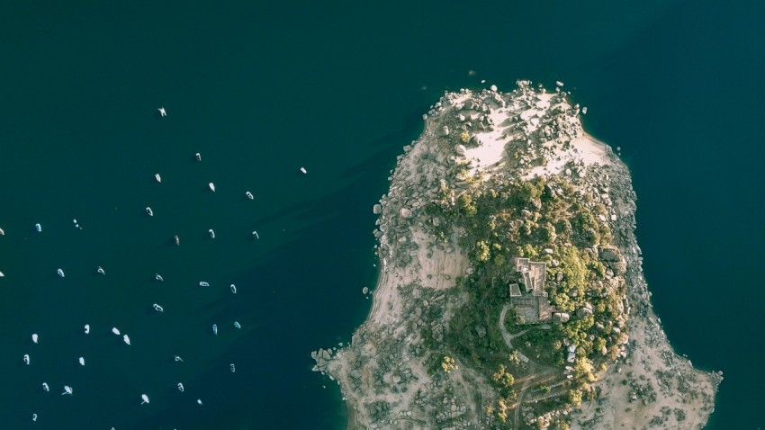 a group of birds flying over a body of water