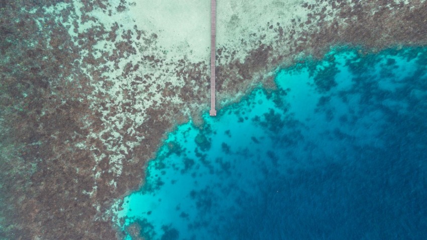 aerial photography of blue body of water during daytime