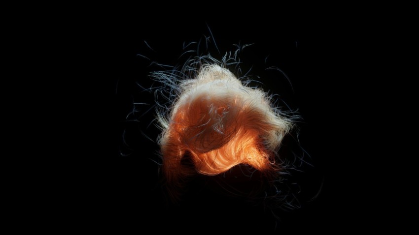 a close up of a persons hair with a black background