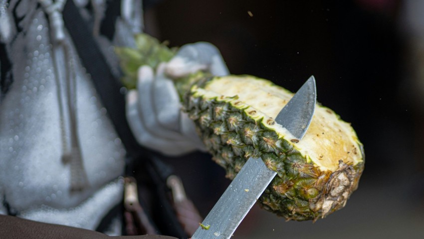 green cactus plant with yellow fruit