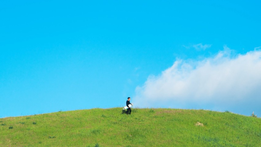 a person standing on top of a lush green hill