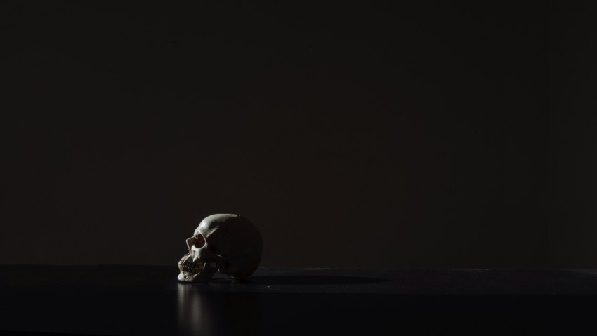 human skull on black background