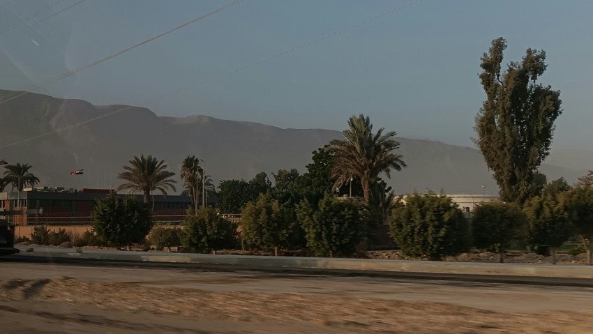 a road with trees and mountains in the background 0vl8qqxf