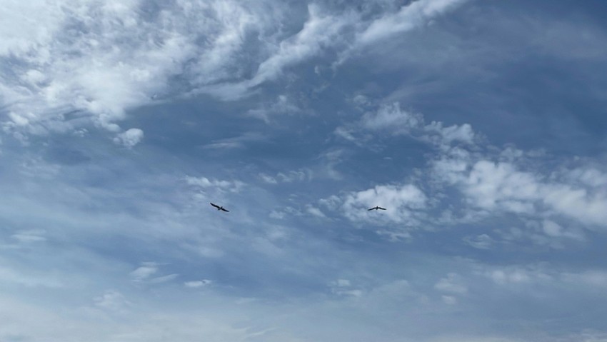 a person flying a kite on a beach