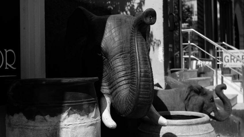 an elephant statue sitting in front of a store