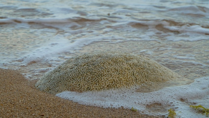 a sandy beach with waves coming in to shore