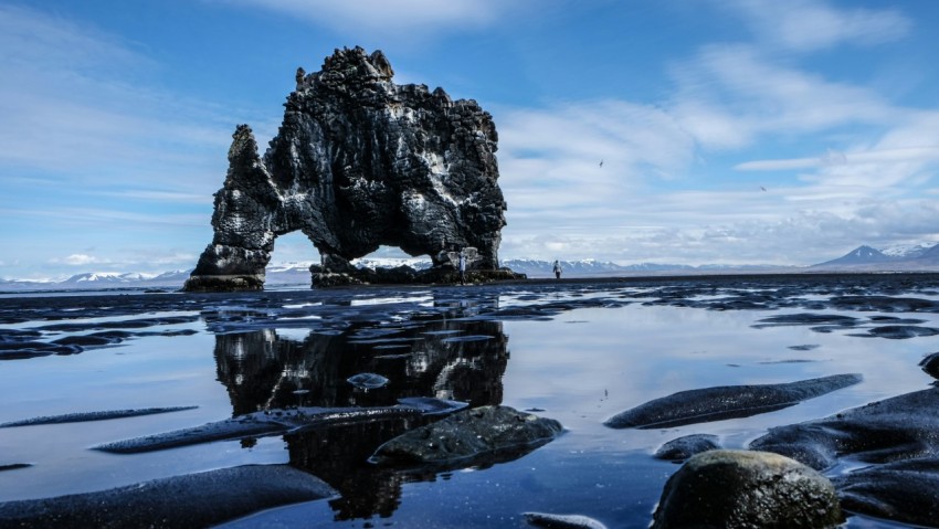 elephant island on body of water