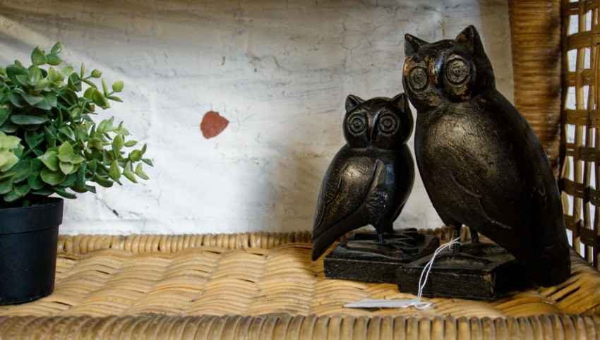 a couple of owls sitting on top of a wooden shelf