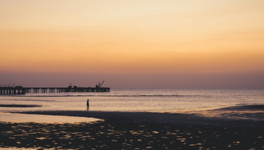 silhouette of people on beach during sunset