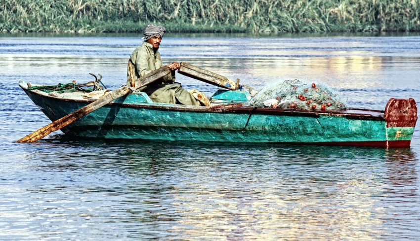 man rowing boat in a lake