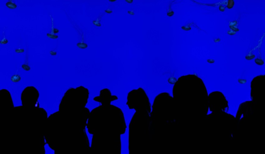 people silhouettes with blue background z