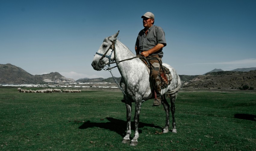 a man riding on the back of a white horse