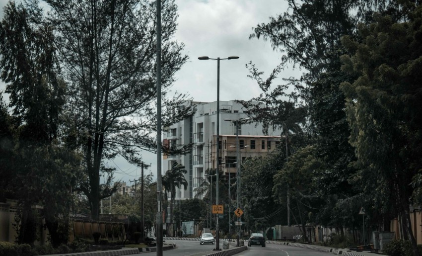 cars parked on the side of the road near trees and buildings during daytime 1