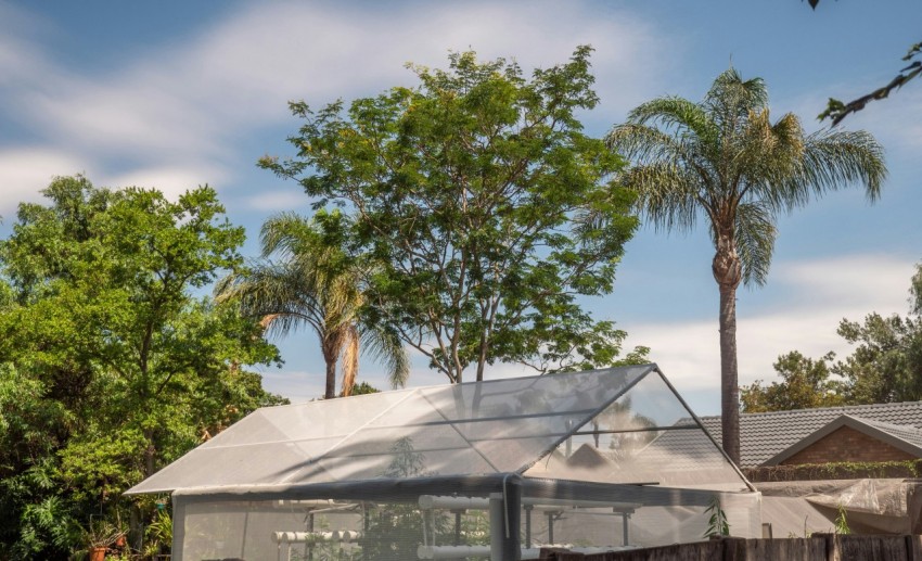 green palm tree near white concrete building during daytime