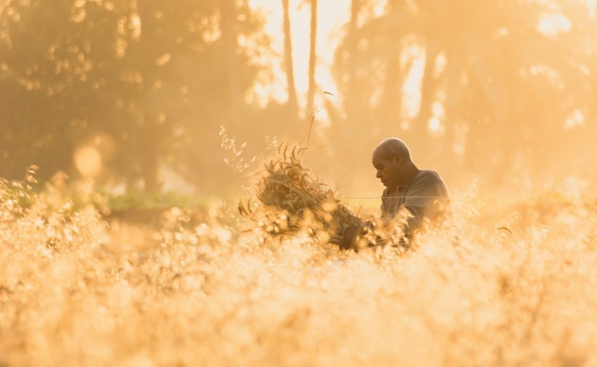 man on the grass field