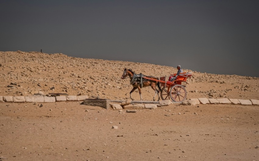 a person riding a horse carriage