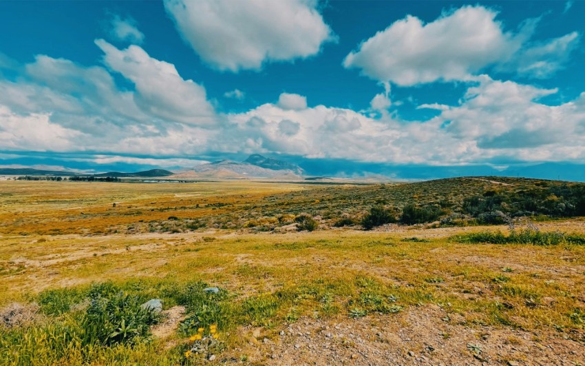 a landscape with hills and trees