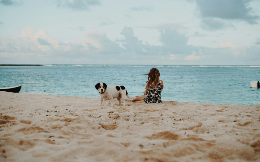 woman sitting on shore beside saint bernard puppy at daytime