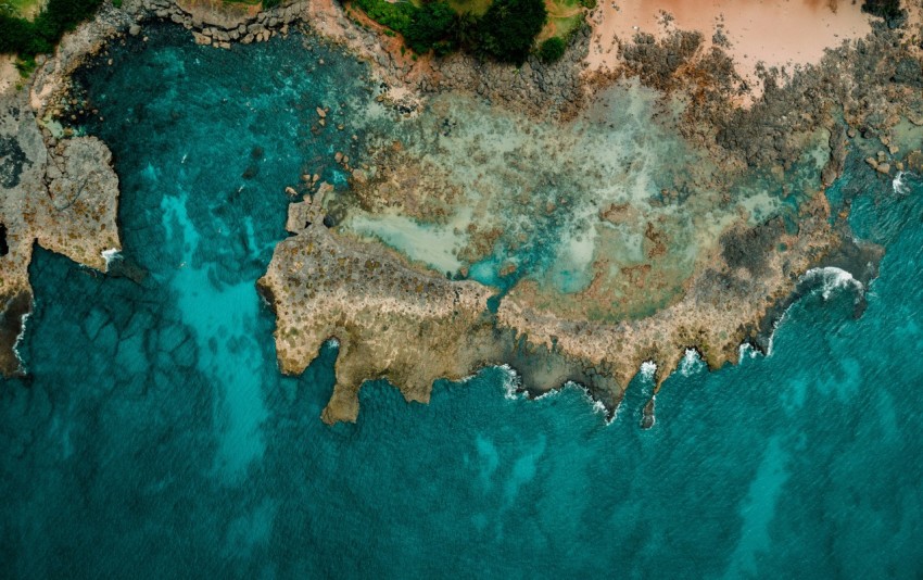 birds eye view photography of beach line