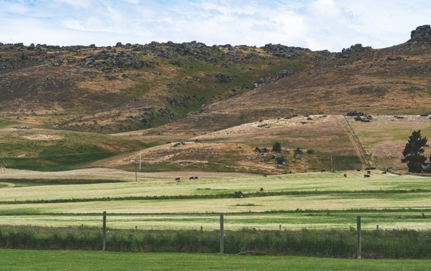 a grassy field with a mountain in the background ZefB