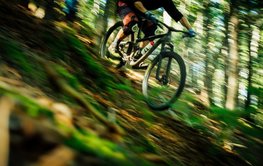 person riding hardtail bike beside trees at daytime jhovC0t8f