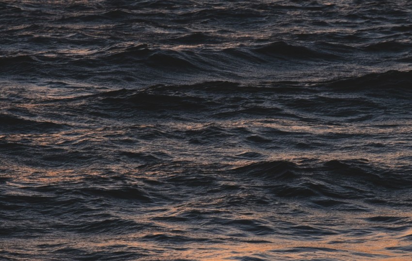 blue body of water during daytime