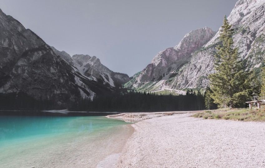 pine trees near body of water and mountains 9wwF