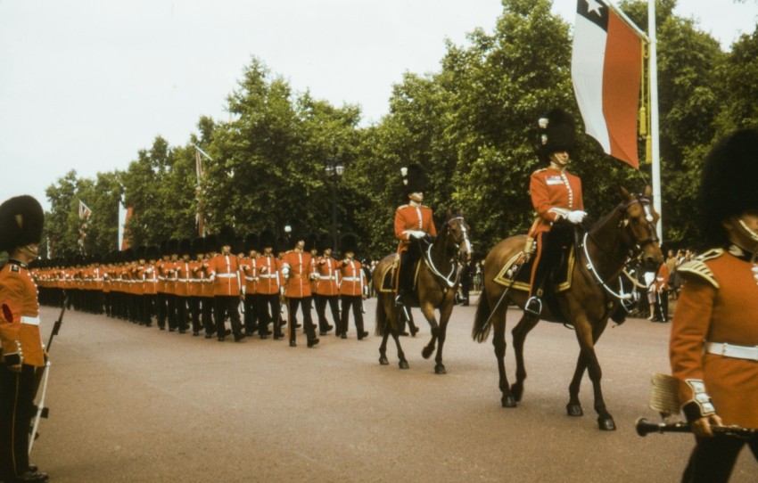 people in red and black uniform riding horses during daytime