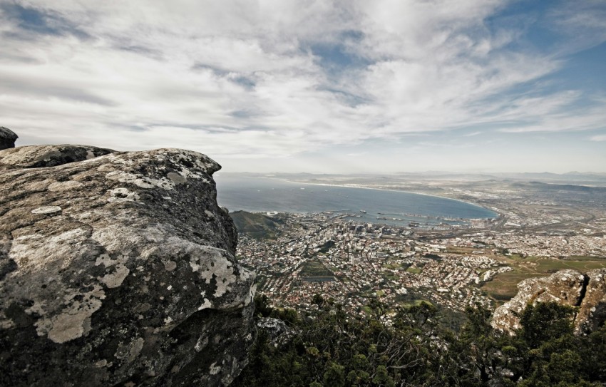 birds eye view photography of city