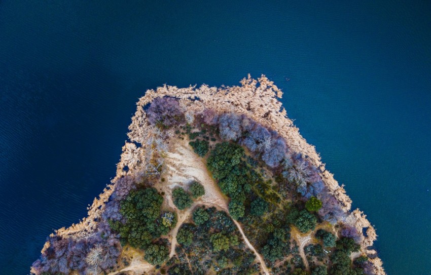 birds eye photography of island