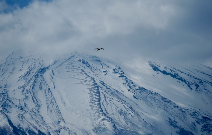 a bird flying over a snow covered mountain WjCjbAe