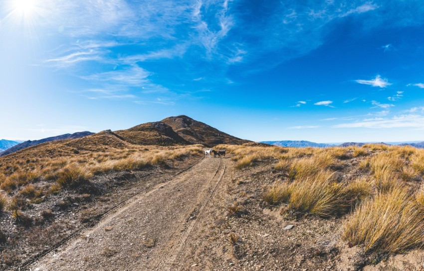 a dirt road in the middle of a desert