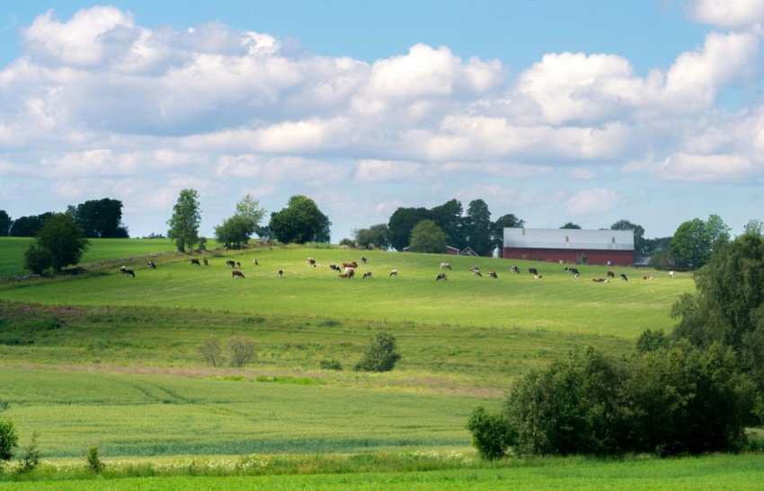 a green field with a red barn in the distance