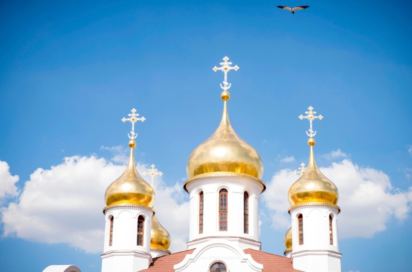 worms eye view photography of cathedral