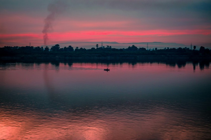 silhouette of trees near body of water during sunset