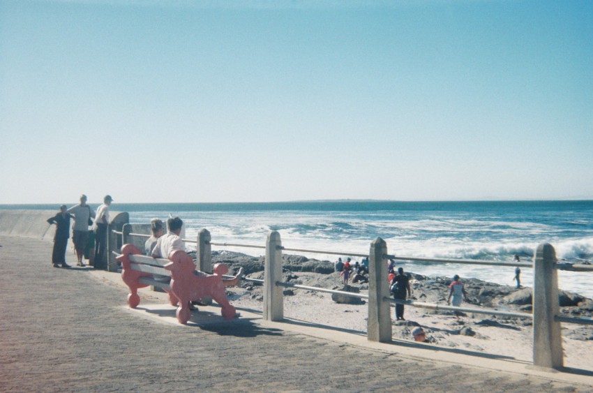 a group of people standing on a beach next to the ocean