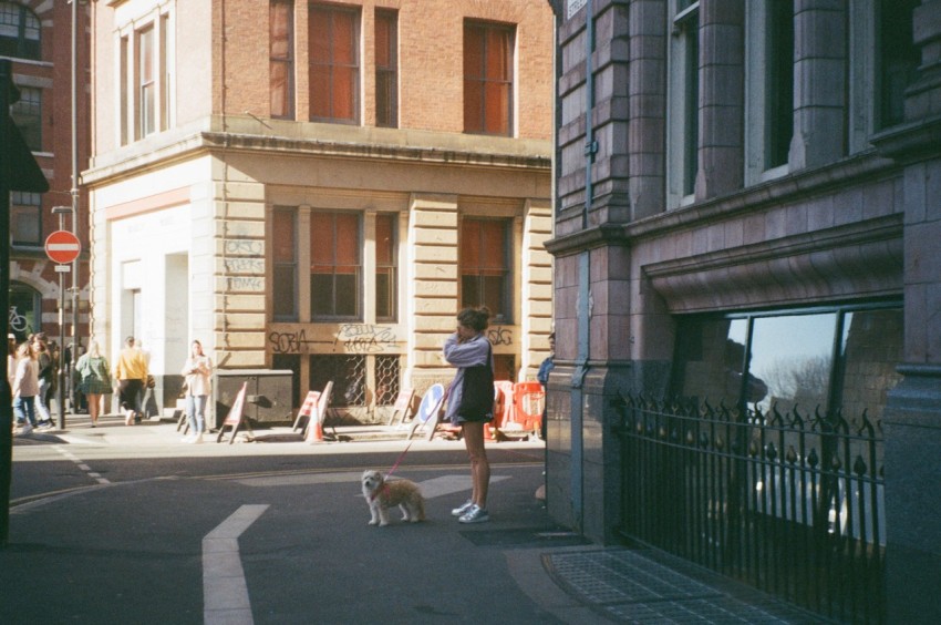 a person standing on a street corner with a dog