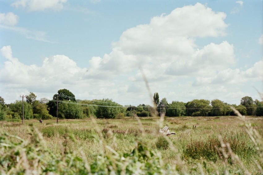 a grassy field with trees and clouds in the background